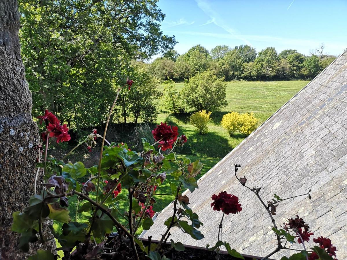 Manoir De La Foulerie Bed and Breakfast Ancteville Exteriör bild